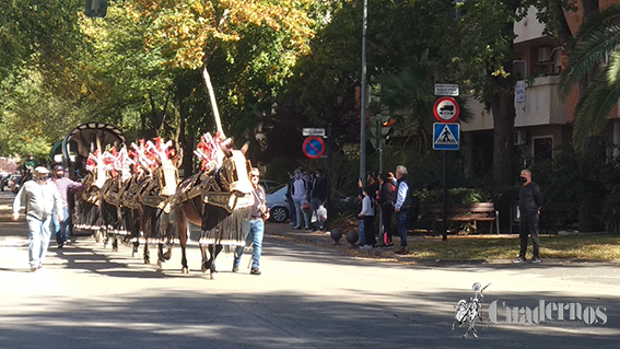 Reatas Pasacalles Tomelloso Día del Pilar