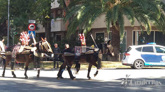 Reatas Pasacalles Tomelloso Día del Pilar