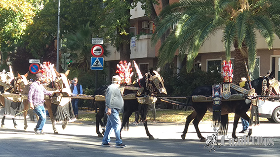 Reatas Pasacalles Tomelloso Día del Pilar