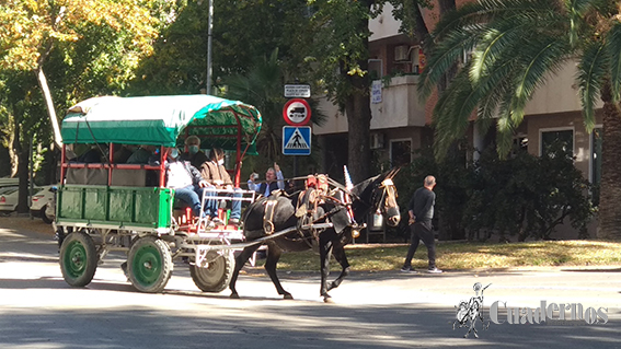 Reatas Pasacalles Tomelloso Día del Pilar