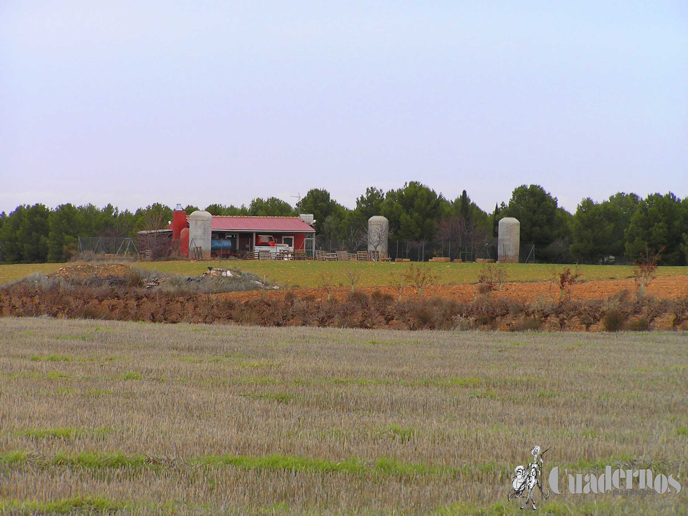 Casas Campo Tomelloso Utilización Mixta