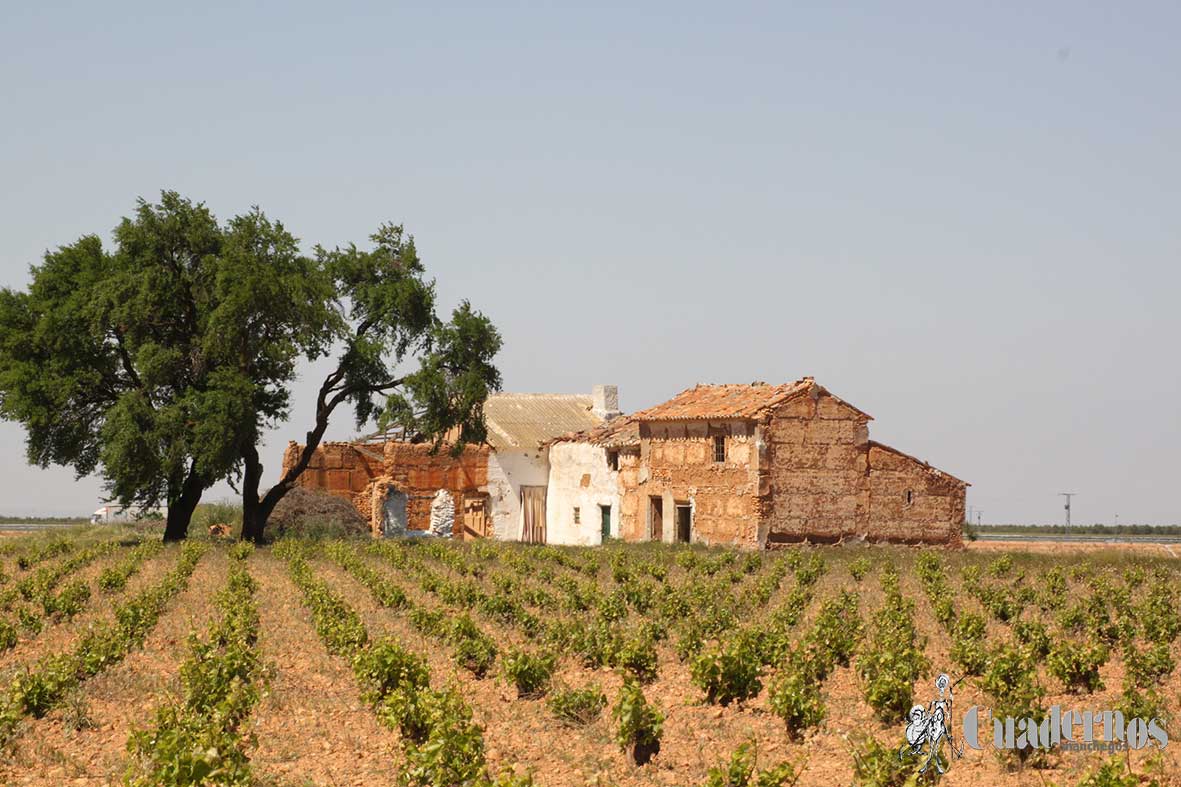 Casas de Campo Tomelloso