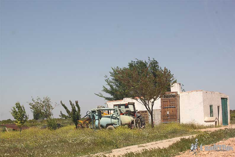 Casas de Campo Tomelloso