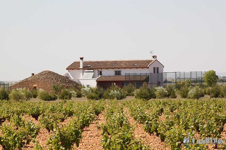 Casas de Campo Tomelloso