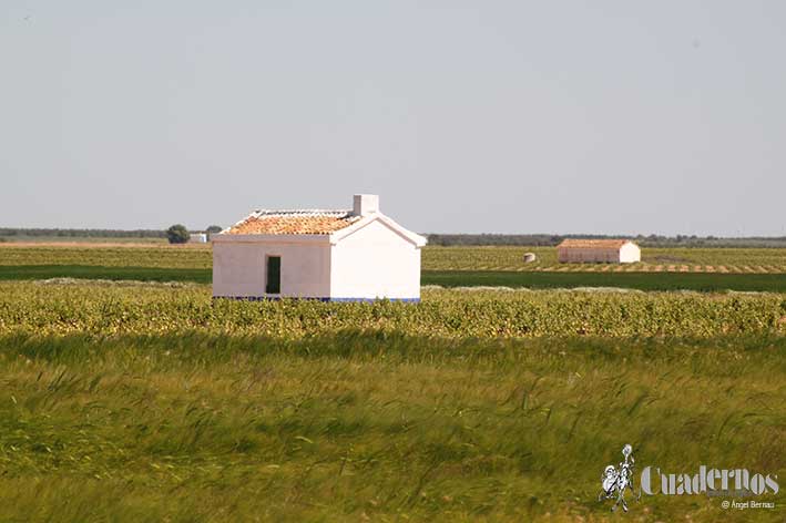 Casa de Campo Tomelloso