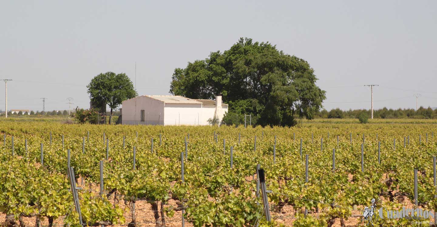 Casas de campo de la Comarca de Tomelloso