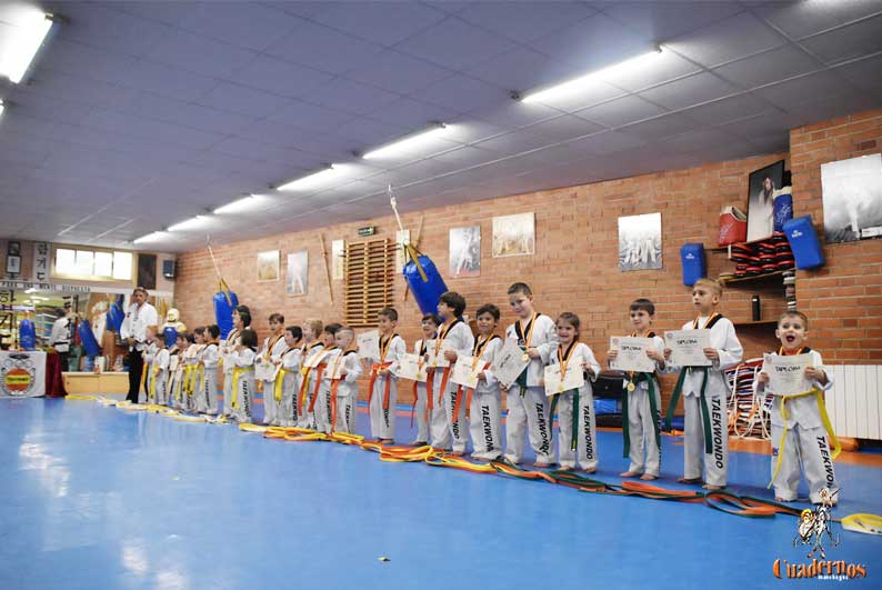 El Centro de Artes Marciales de Cristóbal Orea cierra el curso con la ceremonia de entrega de diplomas y cinturones 