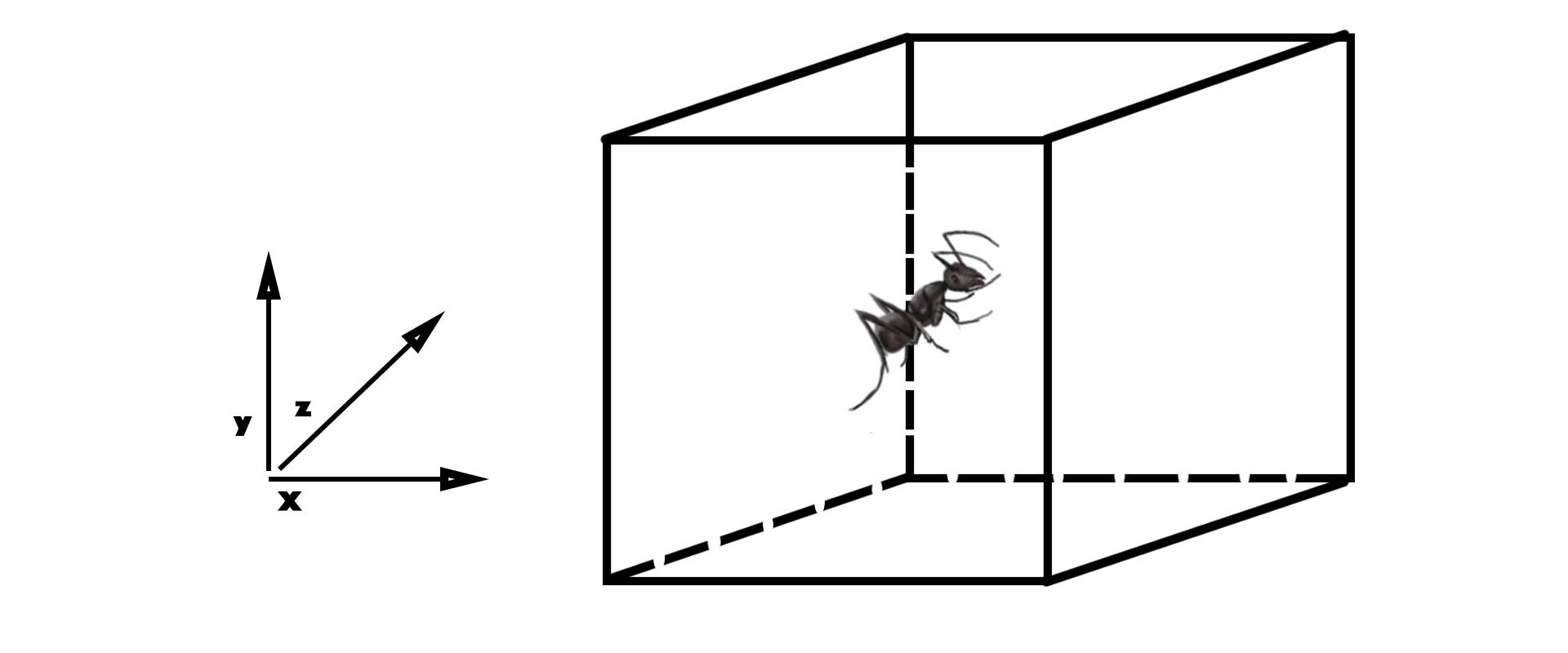 Ciencia de Gañanes