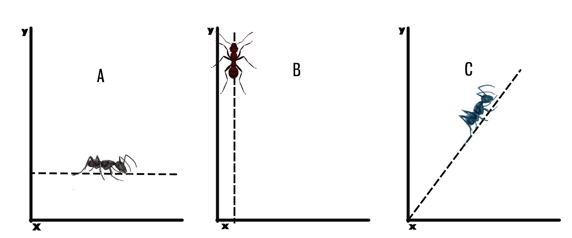 Ciencia de Gañanes