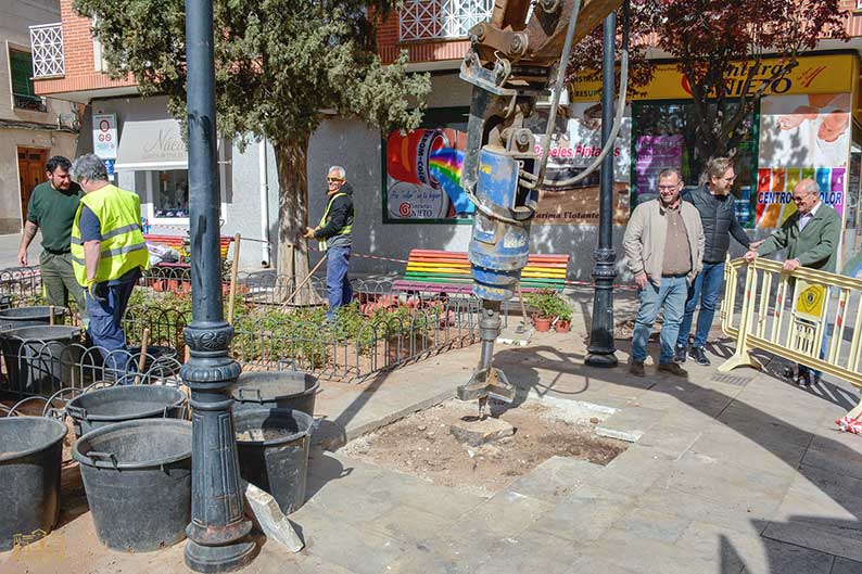 Comienzan en Tomelloso los trabajos de reposición de árboles con destoconadora en la plazoleta de Doña Crisanta
