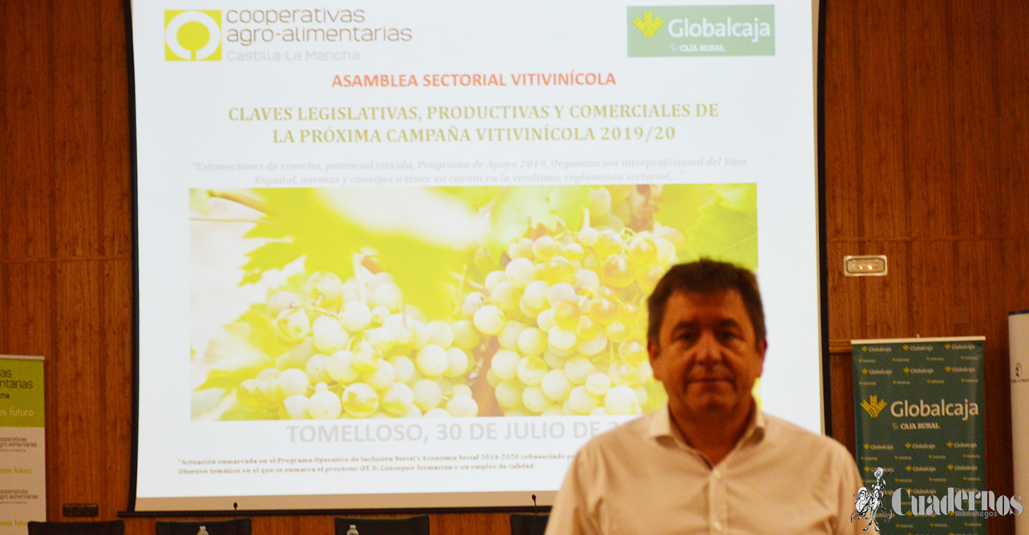 Cooperativas Agro-alimentarias de Castilla-La Mancha en el sector vitivinícola realiza una evaluación en el IRIAF de Tomelloso indicando que a pesar de una mala campaña de comercialización, para la próxima se espera una recuperación que permitirá equilibrar el mercado del sector vitivinícola.