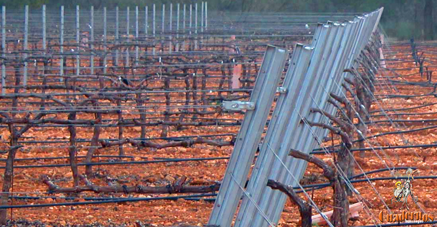 Alertan de recientes robos en el campo a plena luz del día