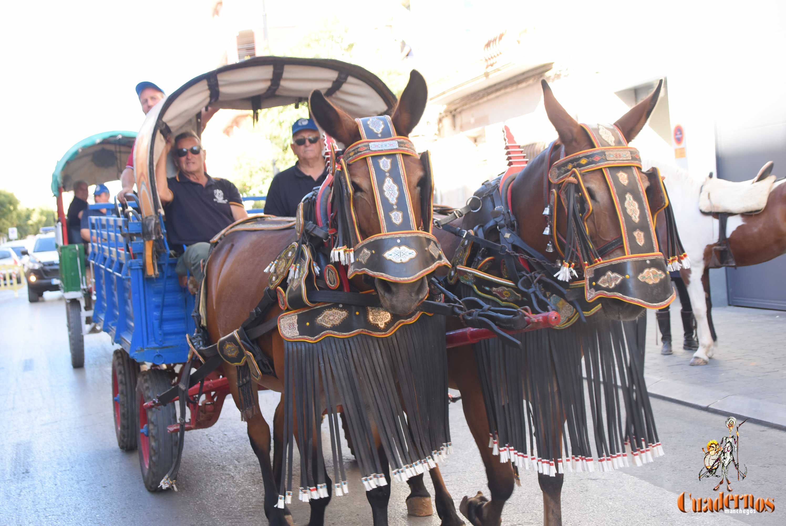 Tomelloso revive sus orígenes con el desfile de reatas, carros y mulas 