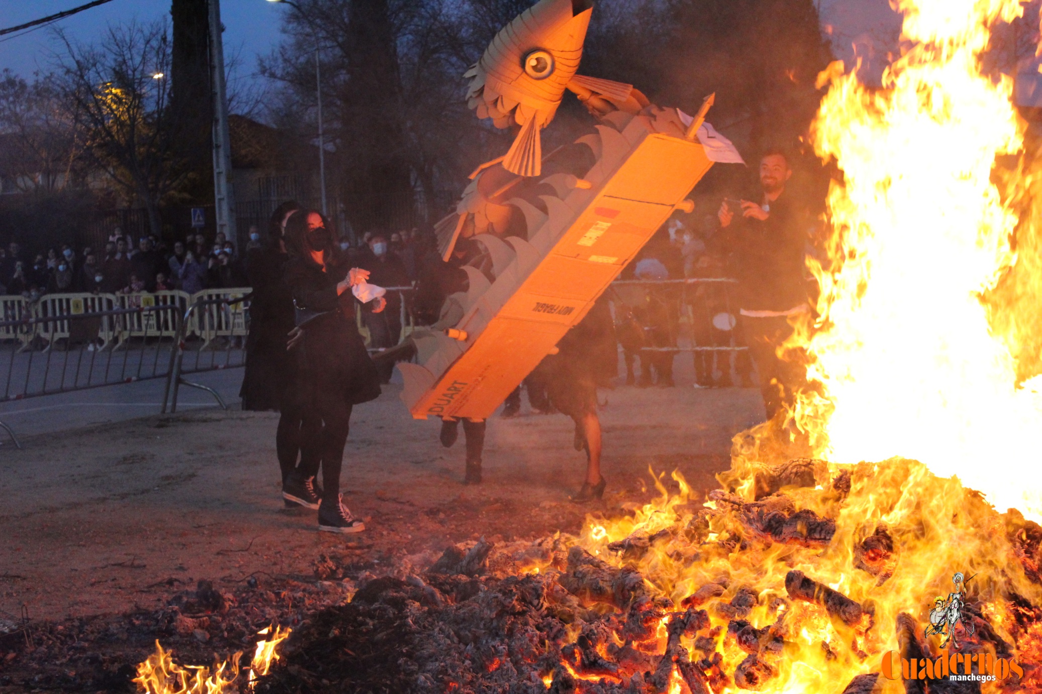 Entierro Sardina Carnaval 2022 Tomelloso