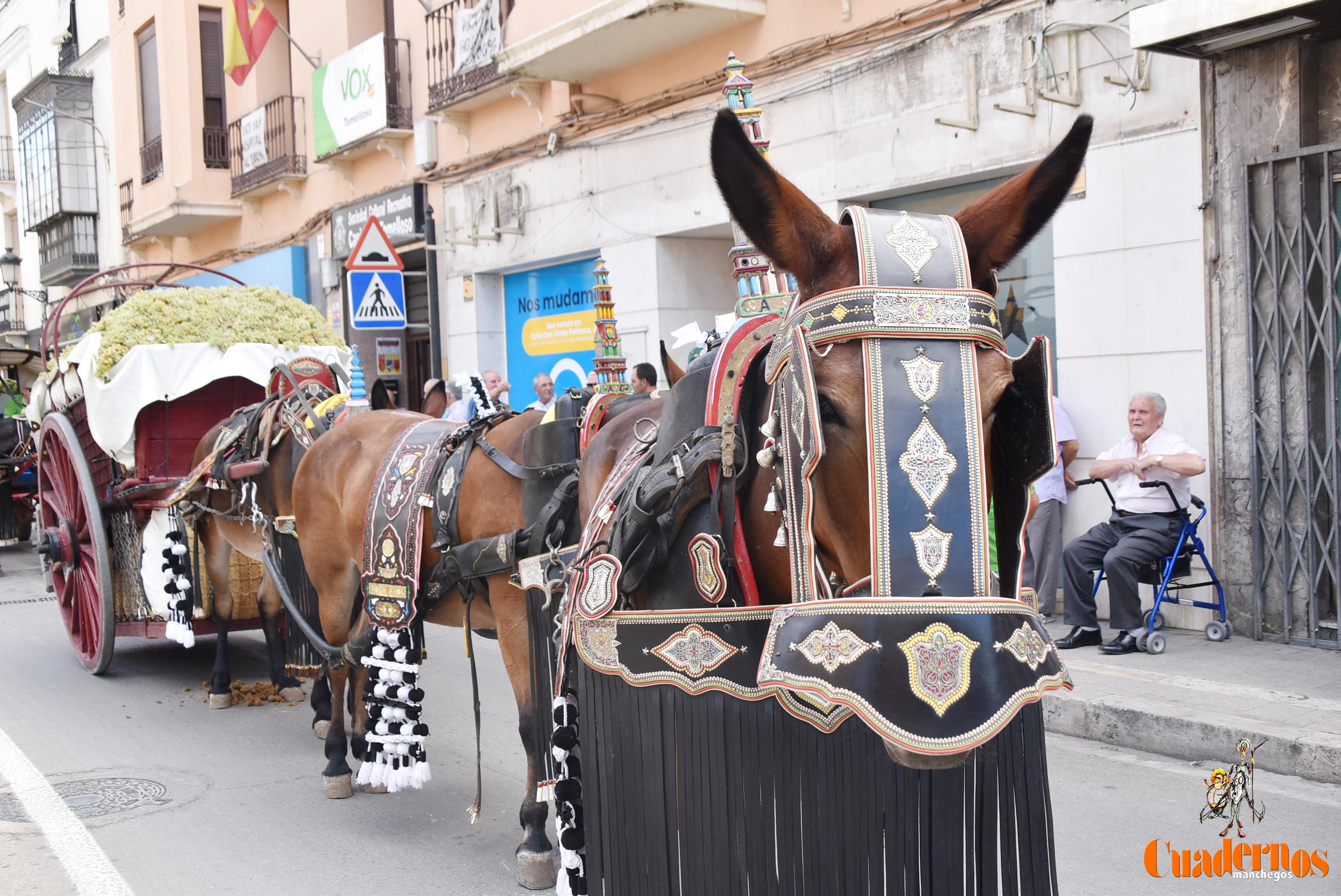 Fiesta Vendimia Tradicional 2022