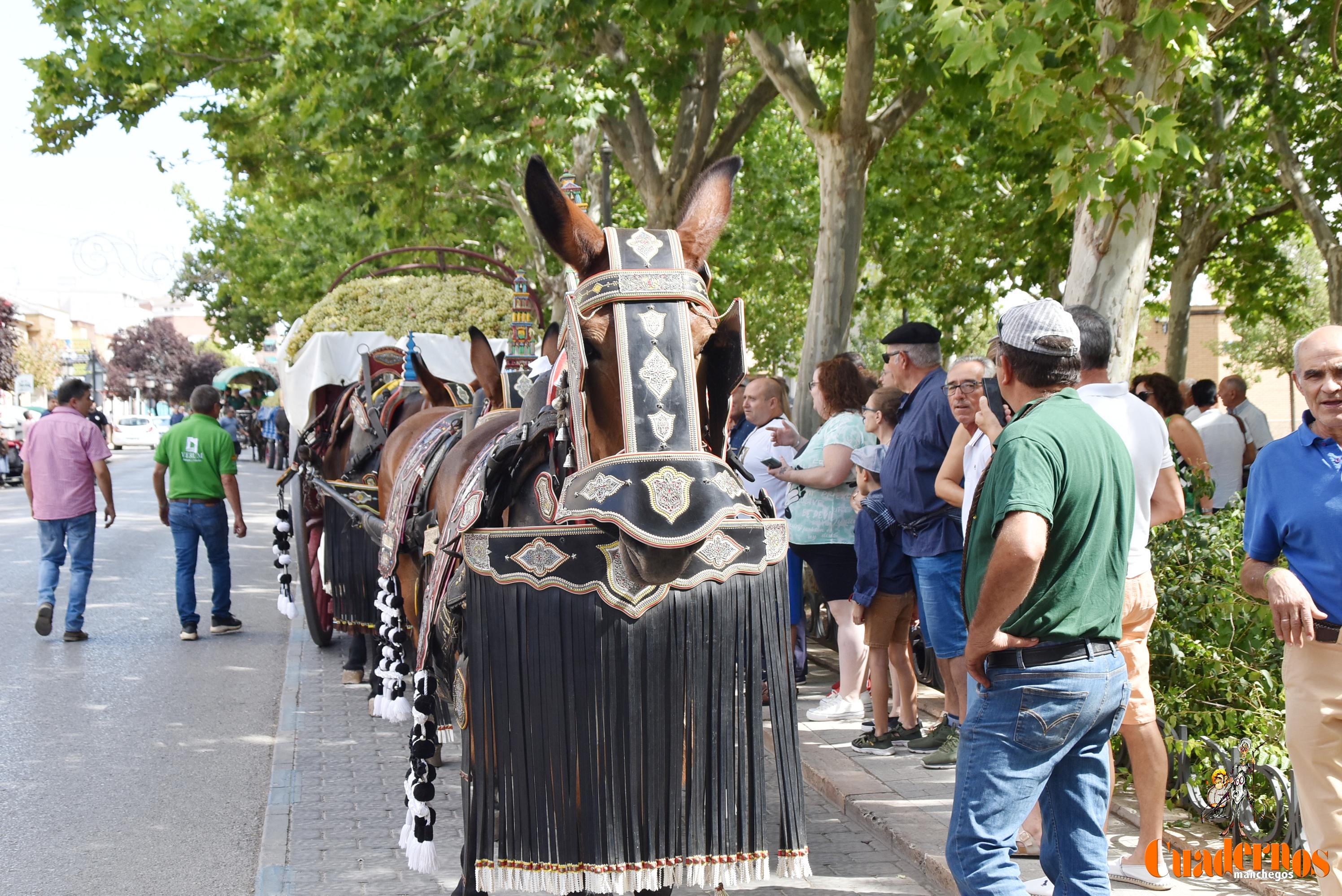 Fiesta Vendimia Tradicional 2022