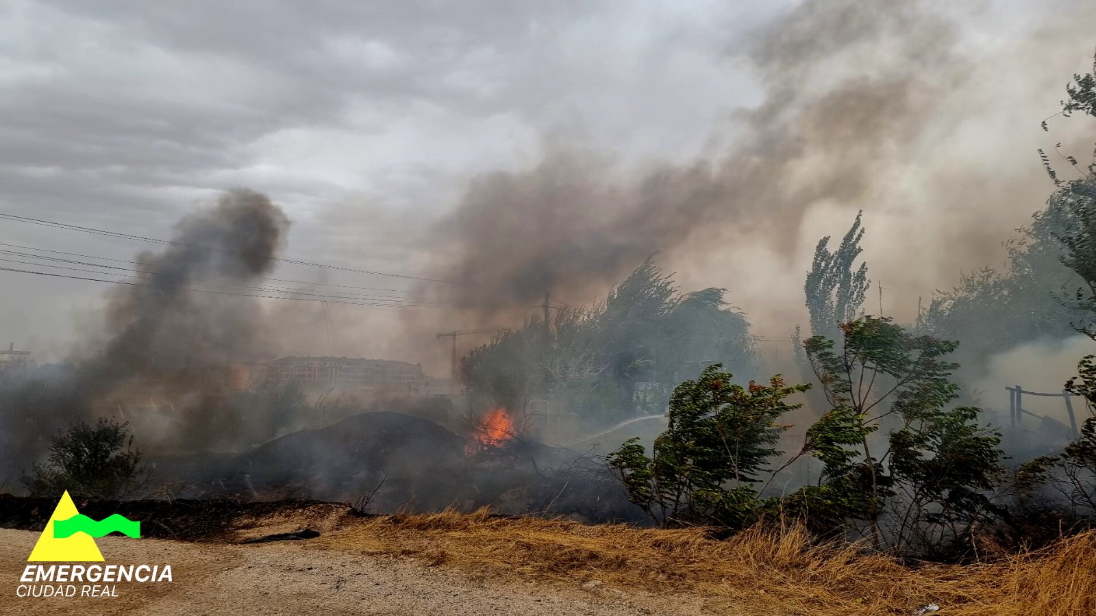 Los bomberos de Tomelloso extinguen un incendio de pastos pese al fuerte viento