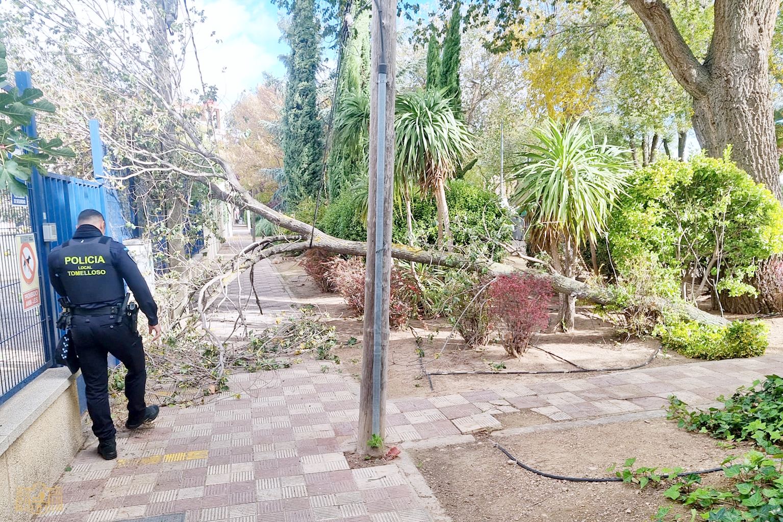 Durante la tarde del jueves, la Policía Local de Tomelloso realizó medio centenar de intervenciones como consecuencia del fuerte viento
