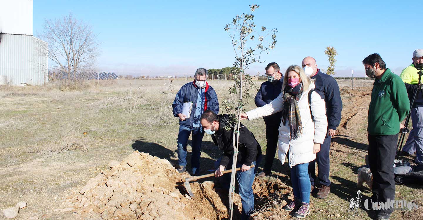 Gran participación en la Reforestación de la Cañada Real Conquense-Vereda