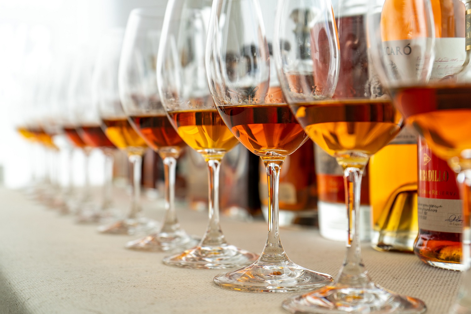 I Masterclass de Brandy español y cata con productores históricos