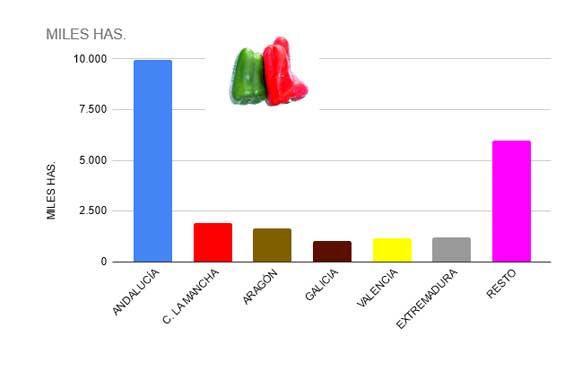 Origen del pimiento