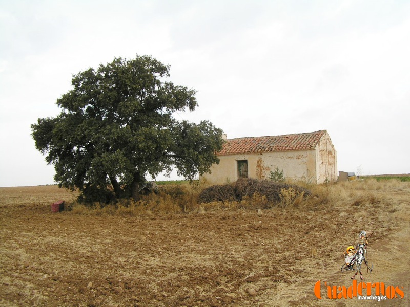 Paisajes de Tomelloso