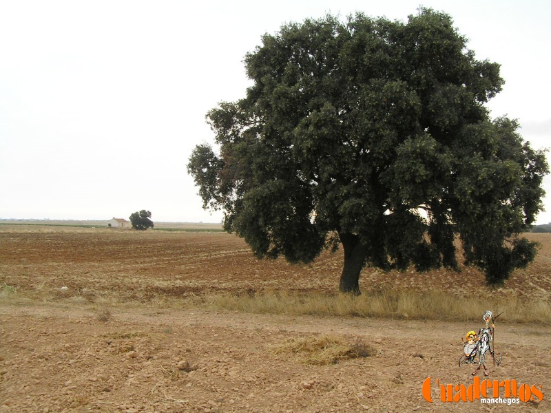 Paisajes de Tomelloso