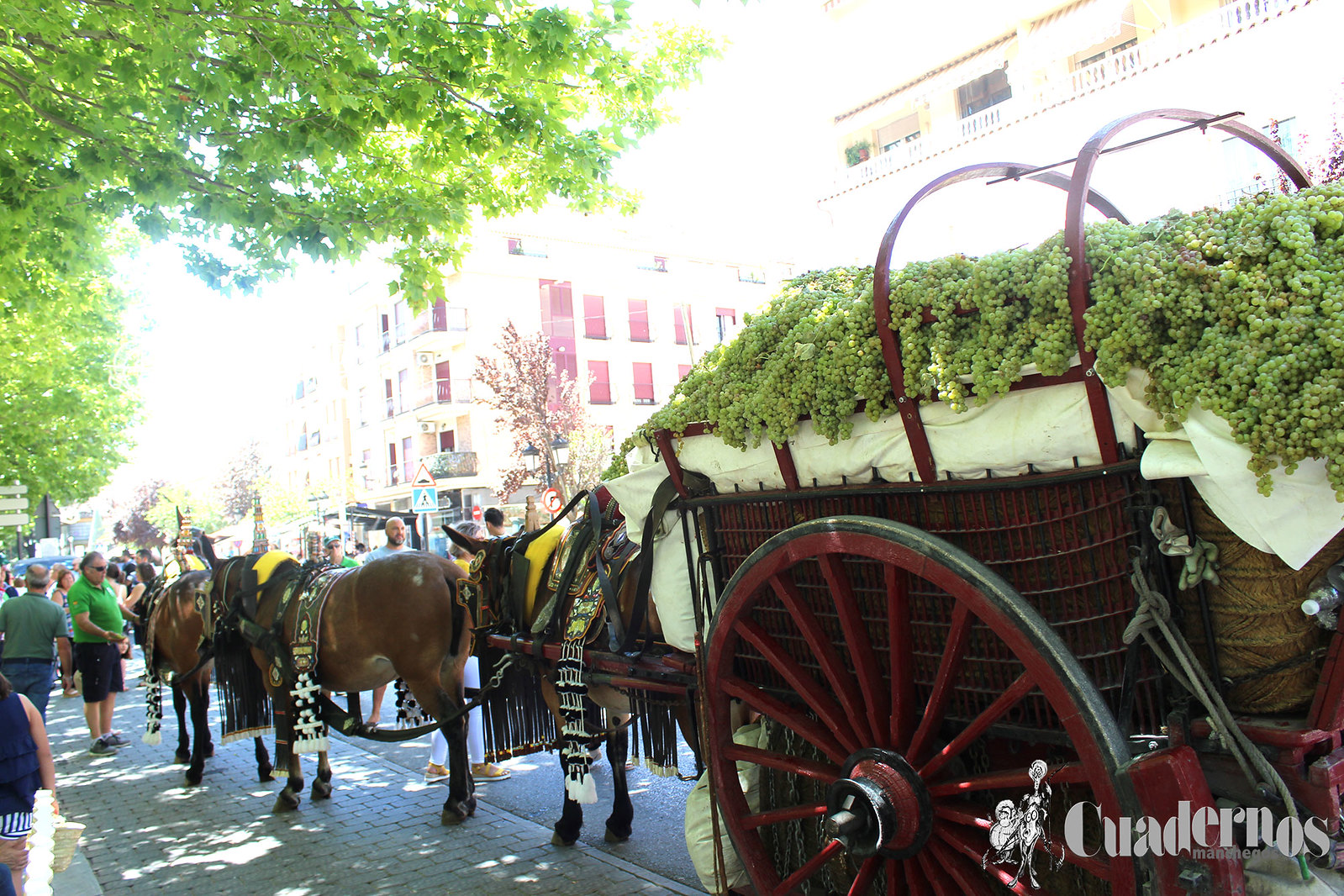 El Paseo de las Moreras acogerá mañana domingo la IX Fiesta de la Vendimia Tradicional