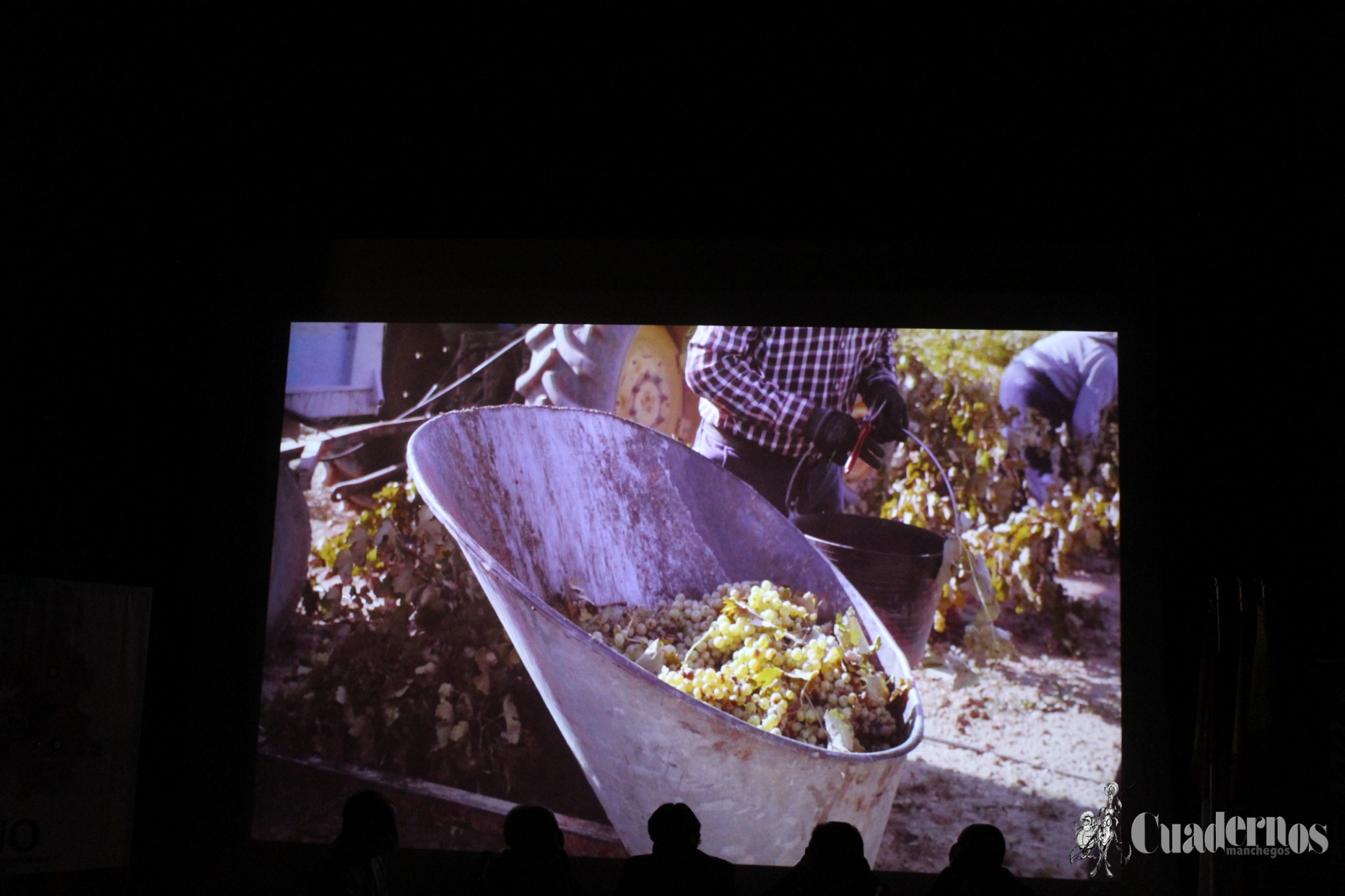 Entrega Premios Vino y Cultura DO La Mancha