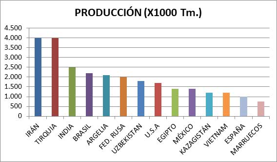 Producción Sandía