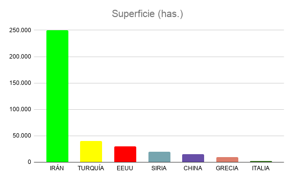 Superficie Has Pistacho