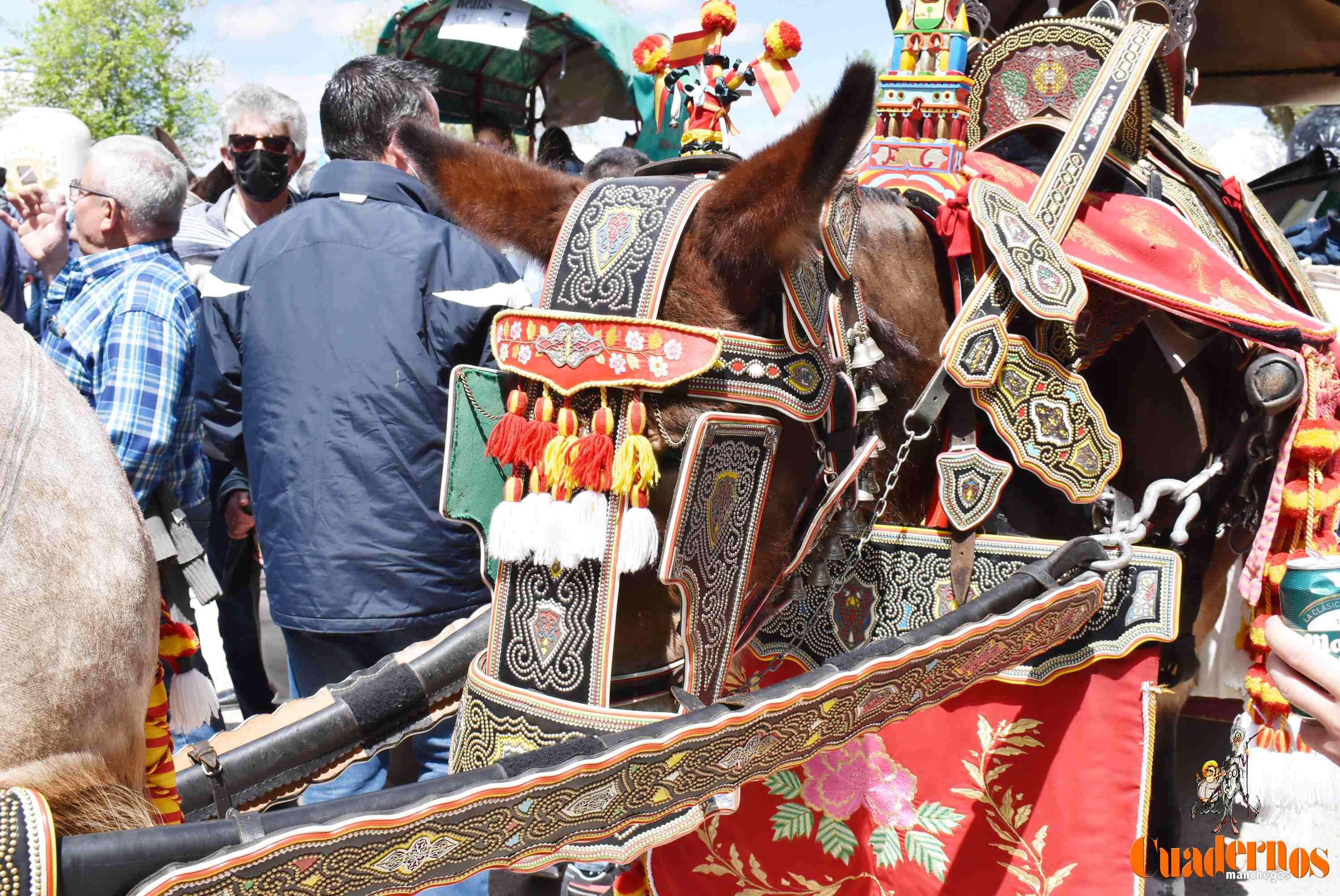 Tomelloso celebra la Romería con una gran alegría y participación