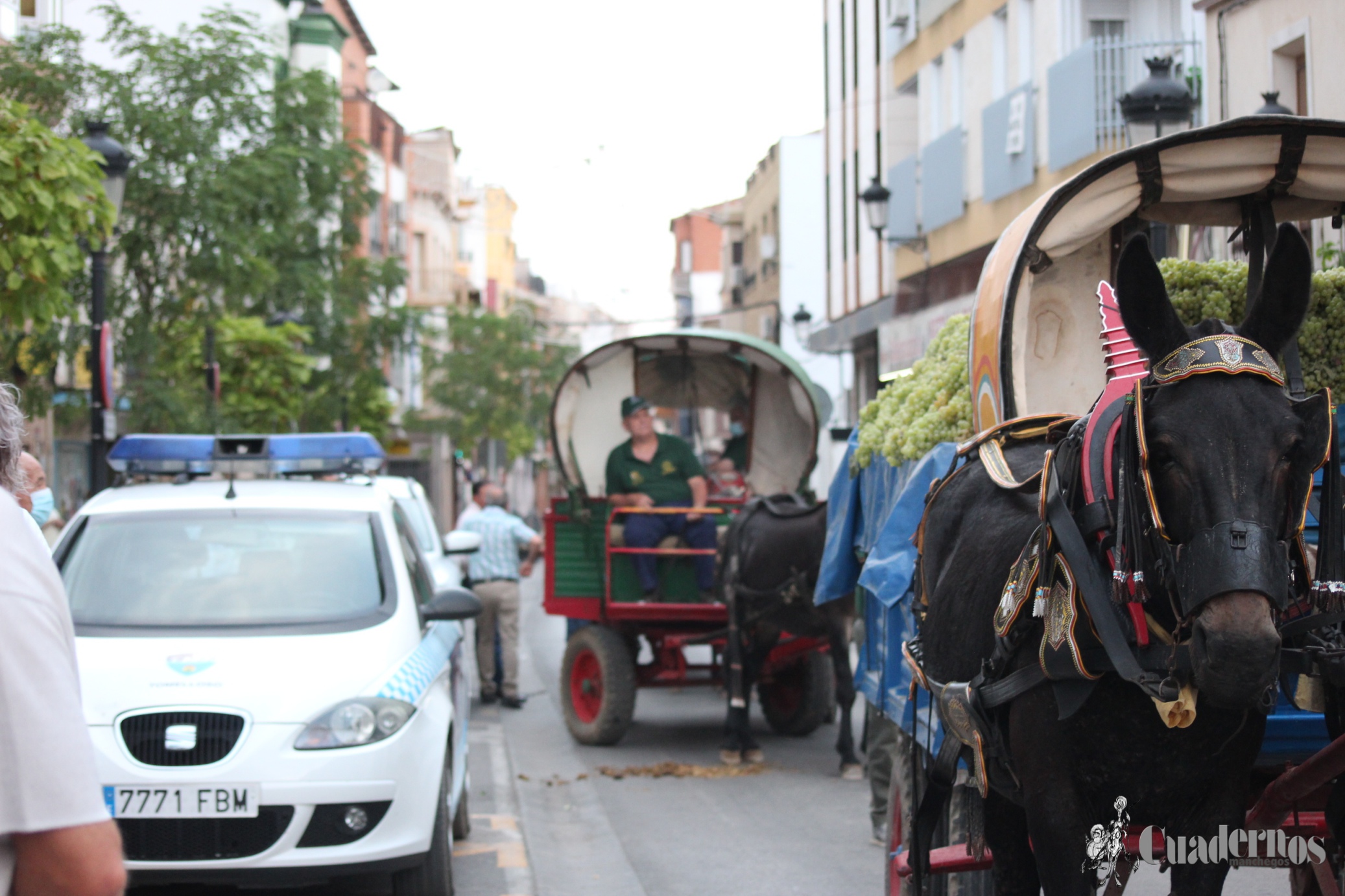 Vendimia Tradicional Feria y Fiestas de Tomelloso 2021