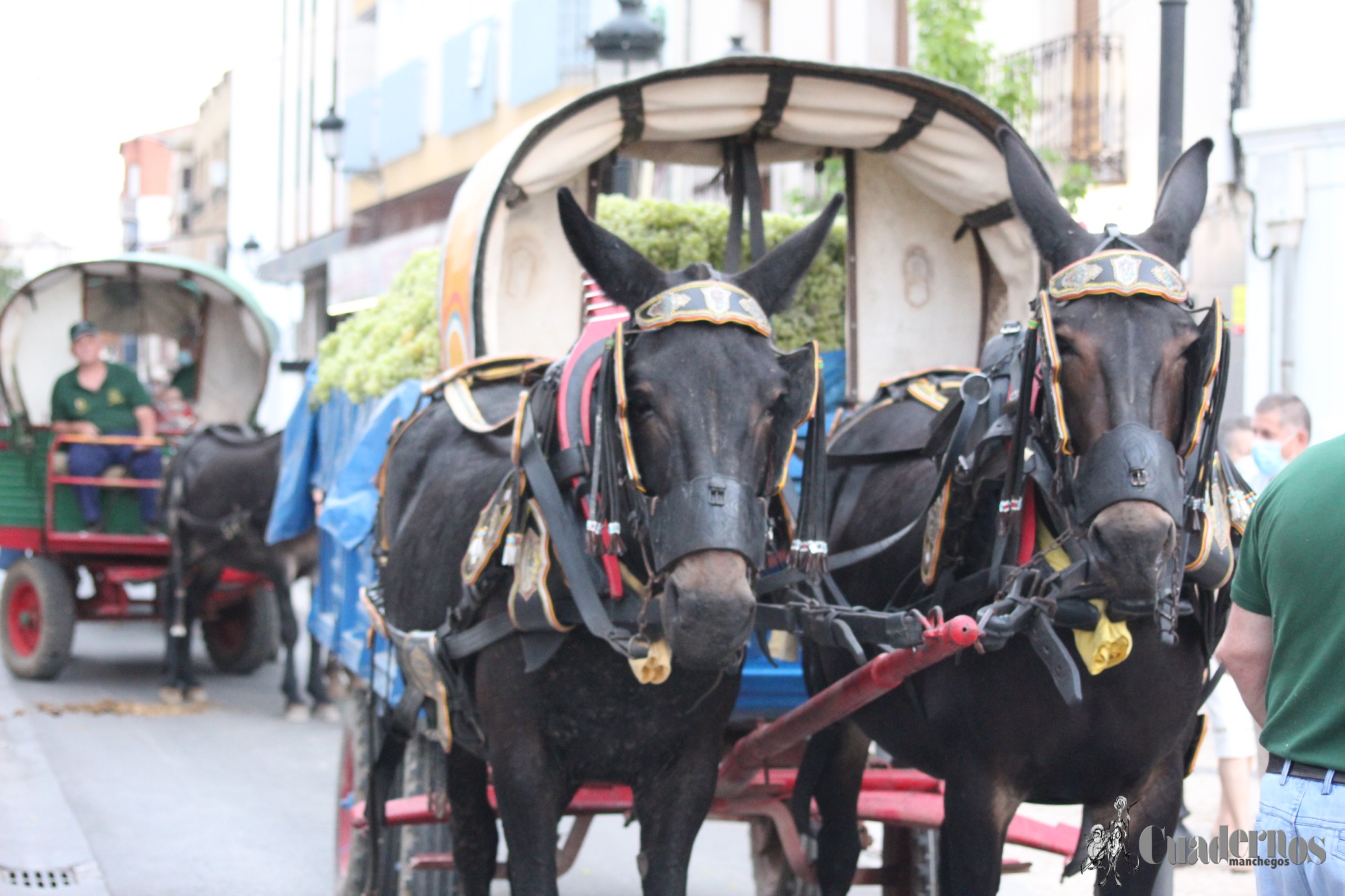 Vendimia Tradicional Feria y Fiestas de Tomelloso 2021