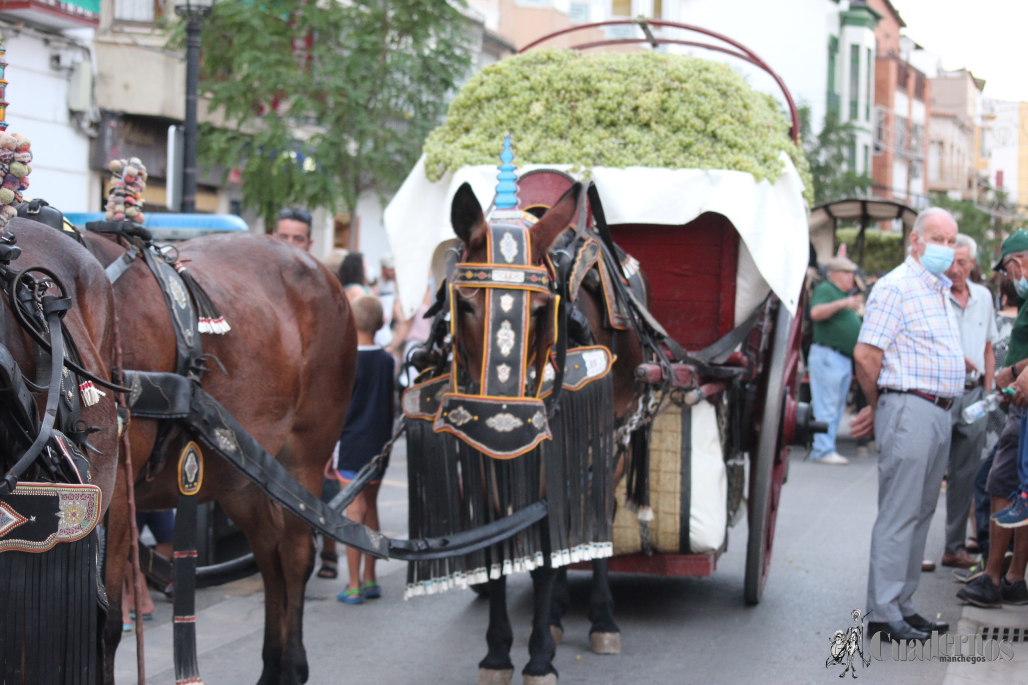 Vendimia Tradicional Feria y Fiestas de Tomelloso 2021