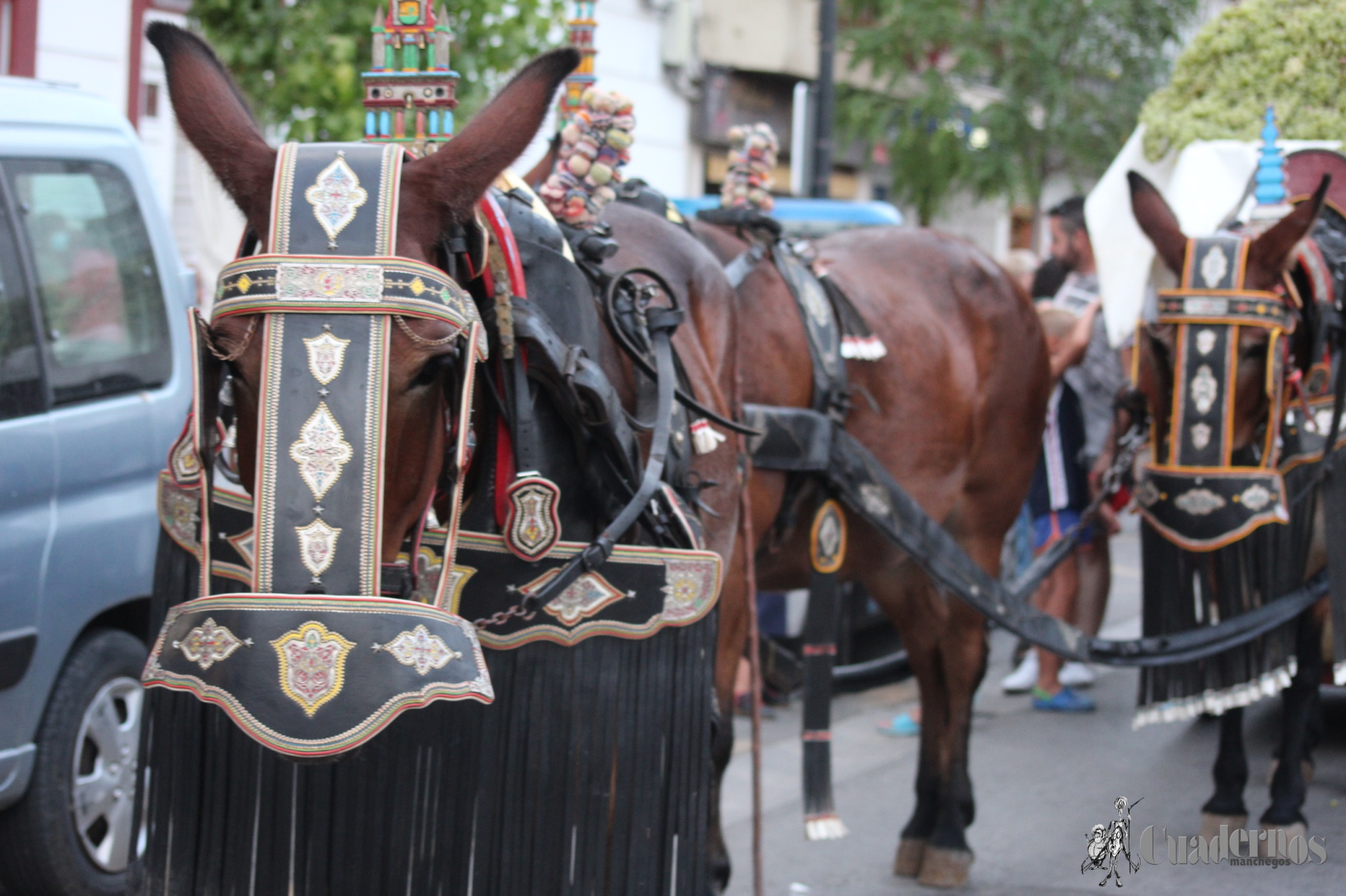 Vendimia Tradicional Feria y Fiestas de Tomelloso 2021