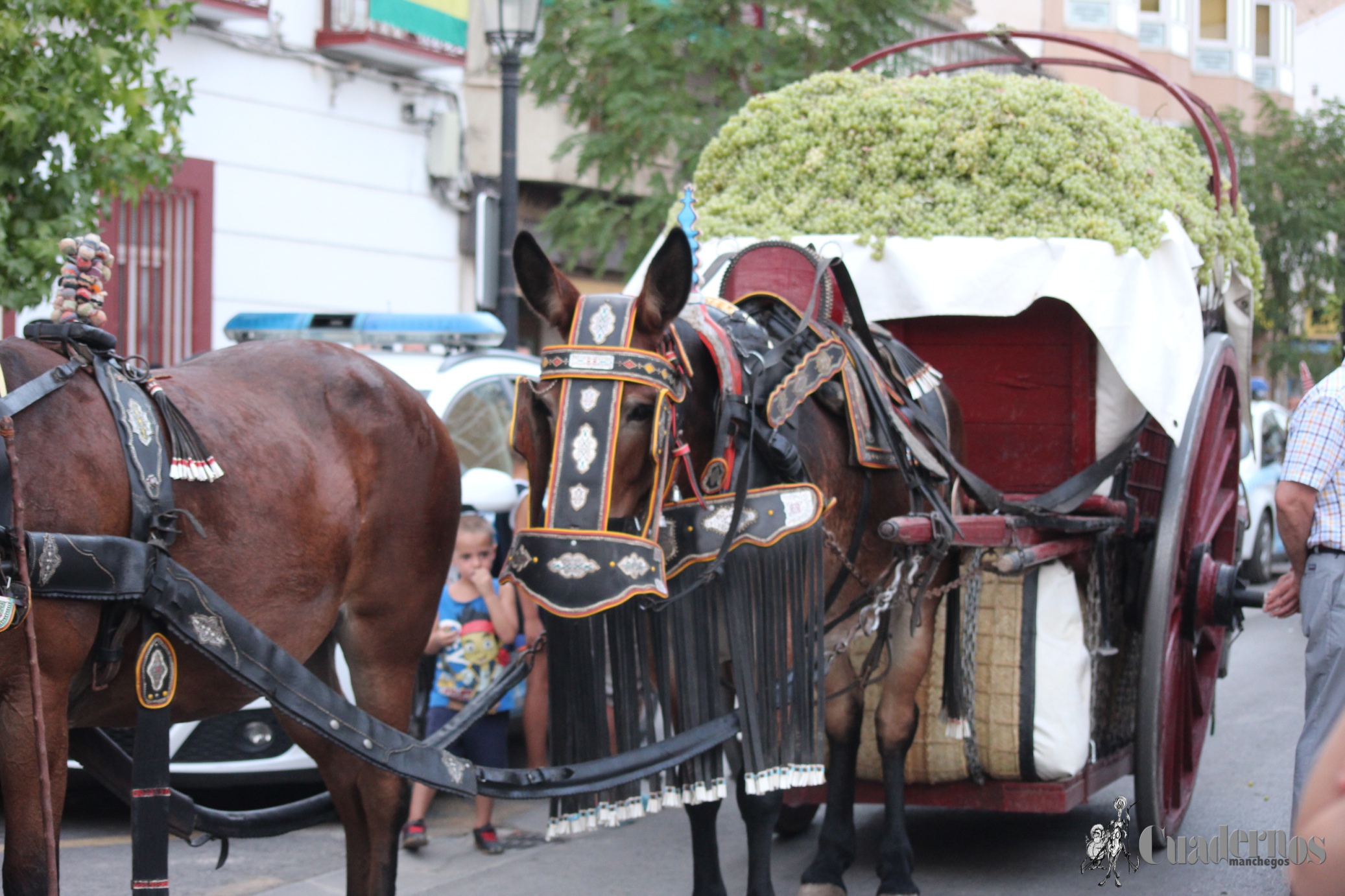 Vendimia Tradicional Feria y Fiestas de Tomelloso 2021