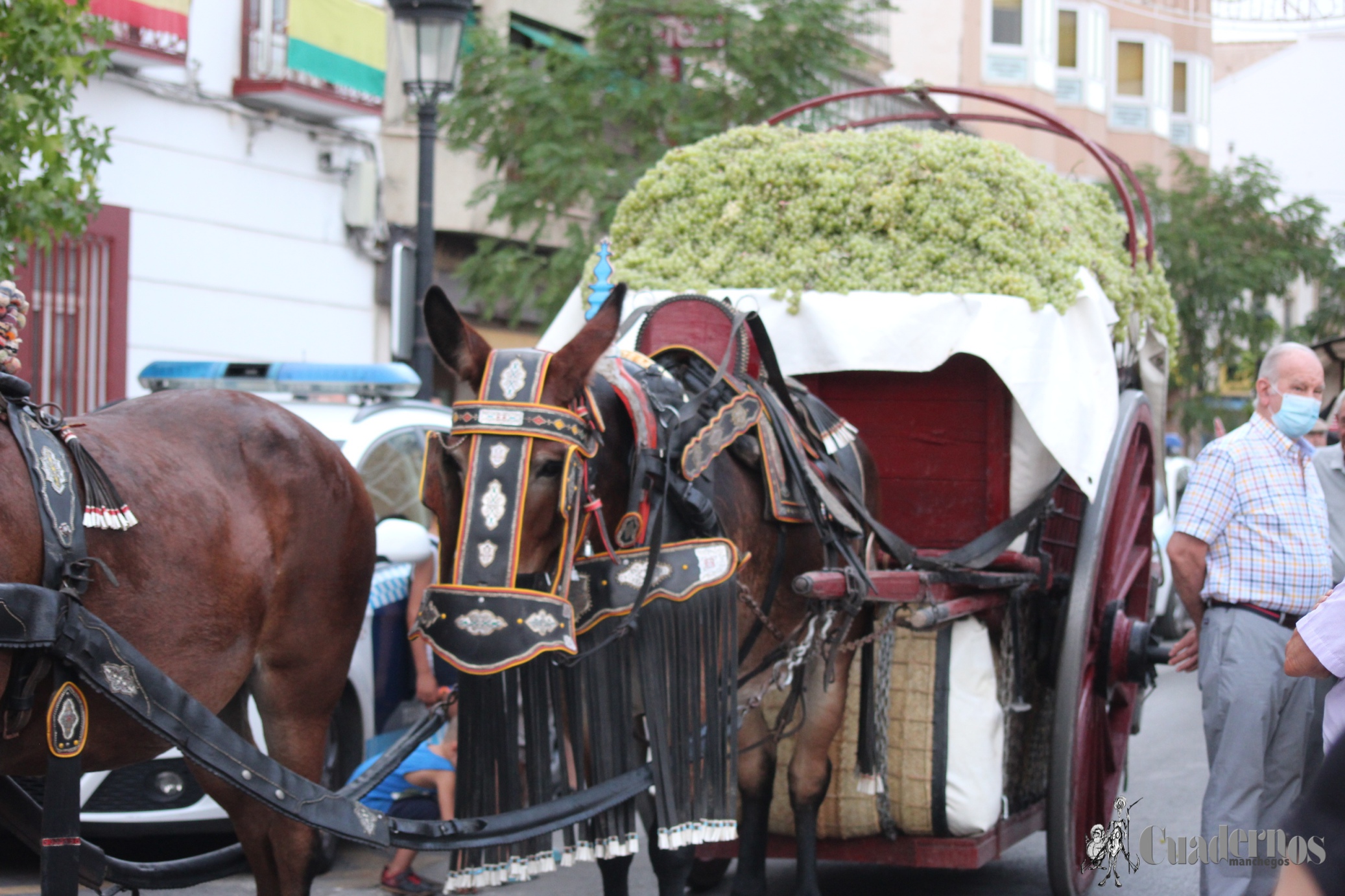 Vendimia Tradicional Feria y Fiestas de Tomelloso 2021