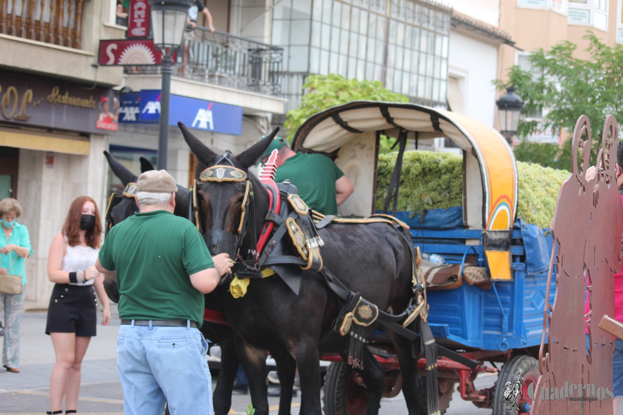 Vendimia Tradicional Feria y Fiestas de Tomelloso 2021