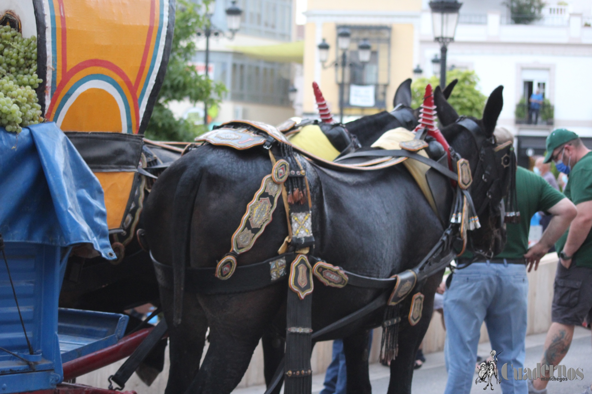 Vendimia Tradicional Feria y Fiestas de Tomelloso 2021