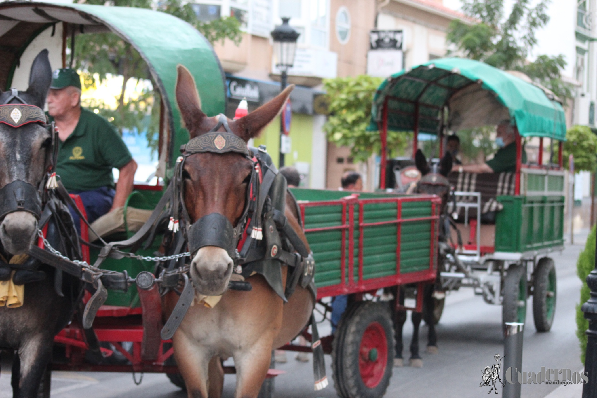 Vendimia Tradicional Feria y Fiestas de Tomelloso 2021