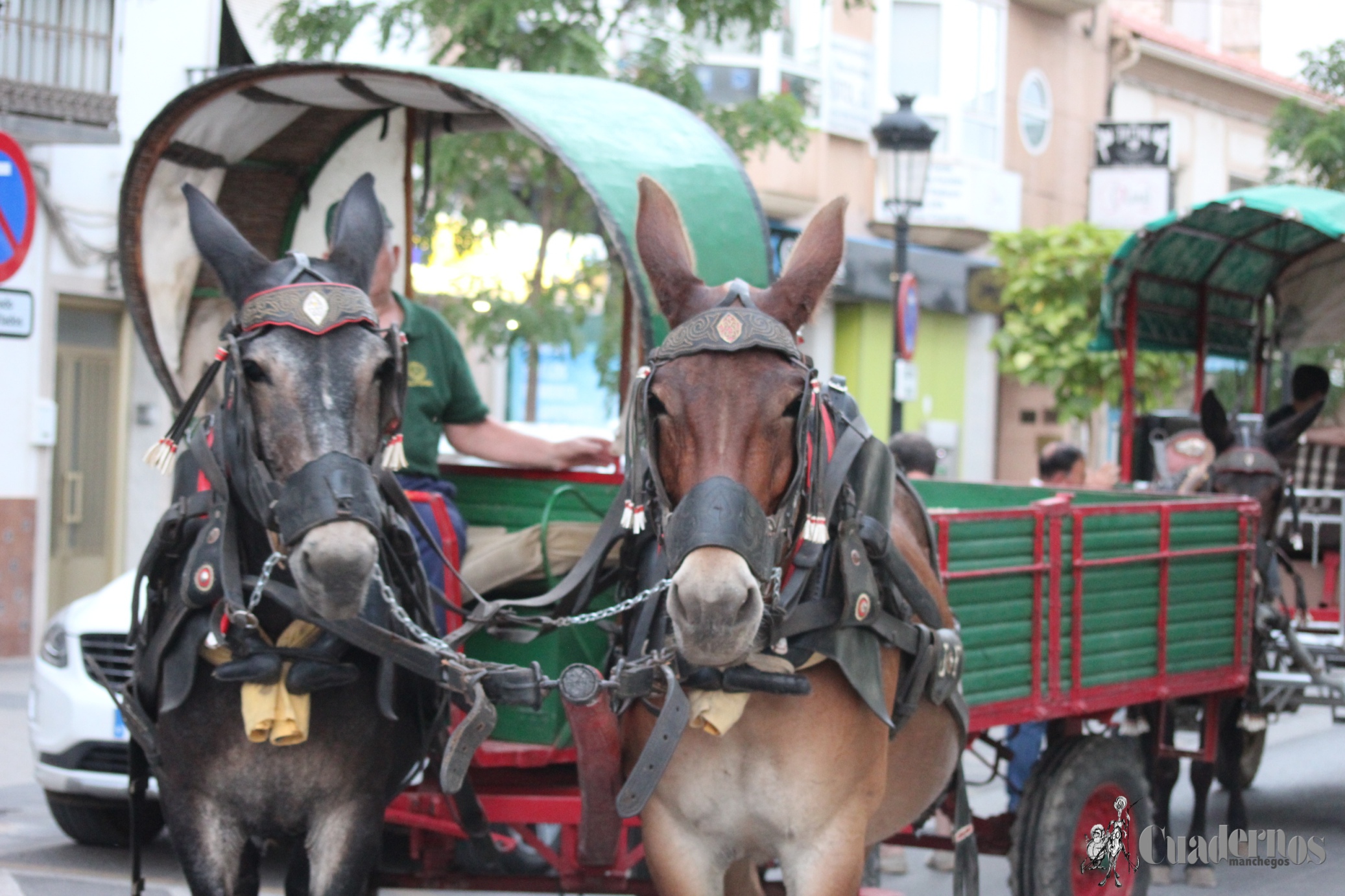 Vendimia Tradicional Feria y Fiestas de Tomelloso 2021