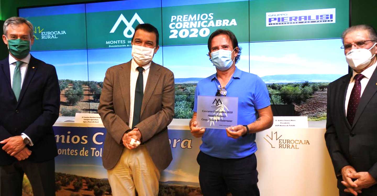Castilla-La Mancha muestra su compromiso con el olivar de bajo rendimiento para que tenga garantizado su futuro en la región y en España