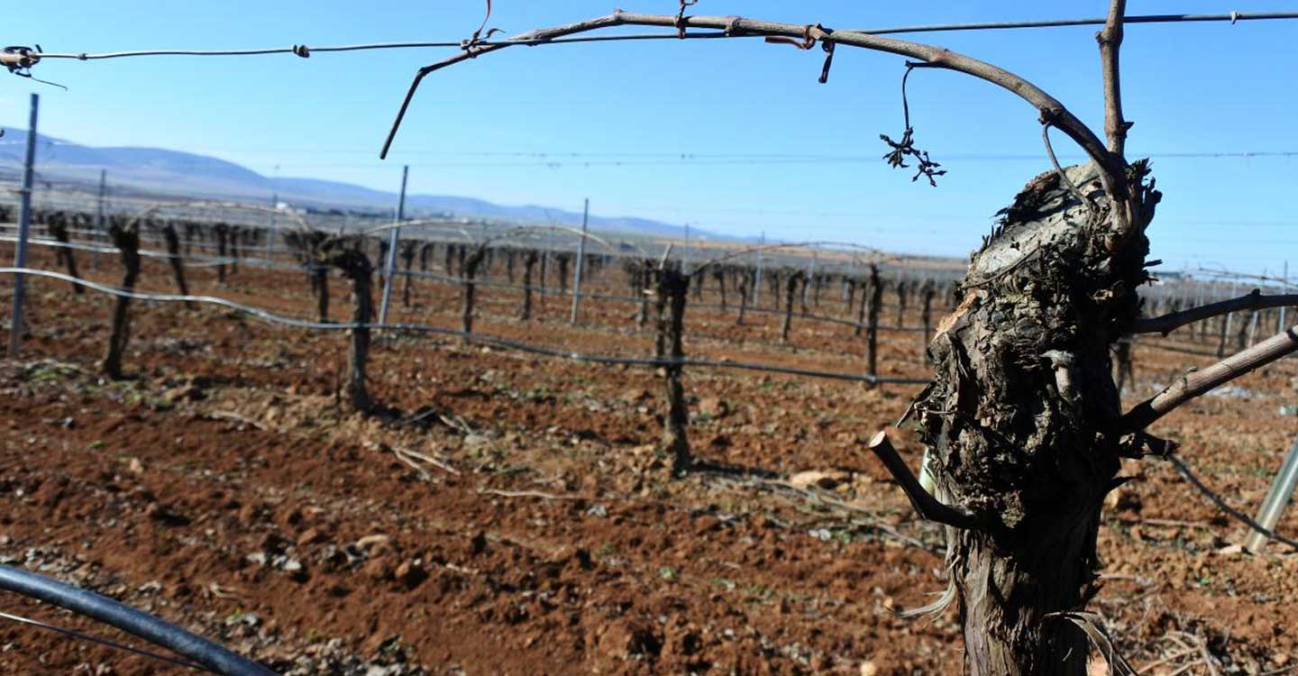 Castilla-La Mancha apuesta por los regadíos sociales y la eficiencia energética con ayudas a la modernización por casi 15 millones de euros