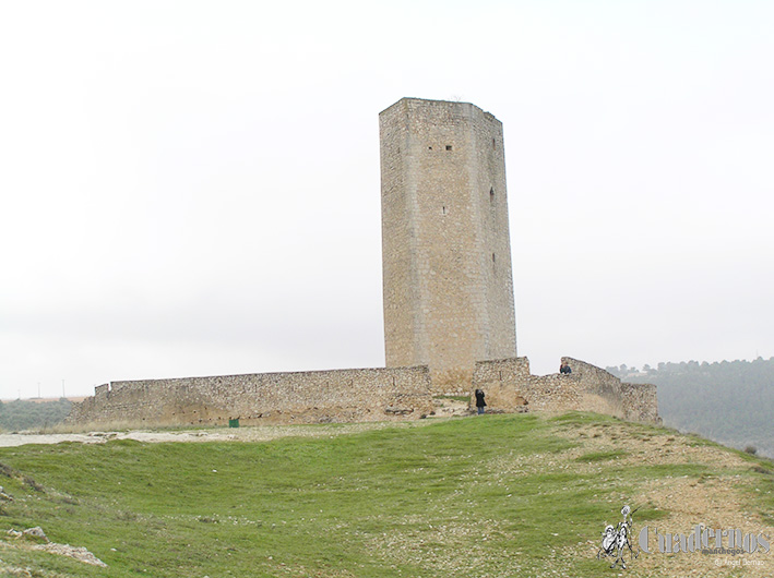 Castillo Alarcón