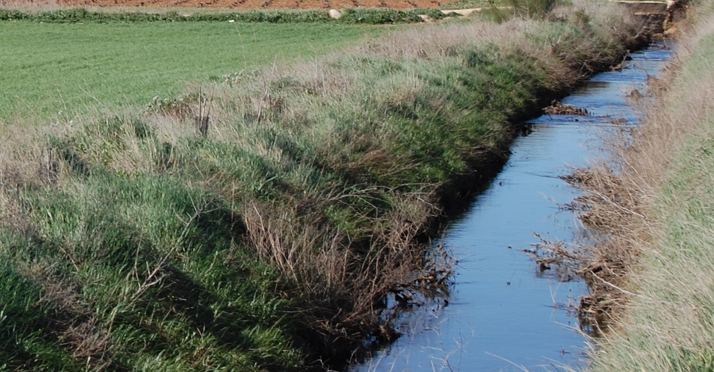 La Confederación Hidrográfica del Júcar, O.A., realiza una inversión histórica en conservación, mantenimiento y restauración de los cauces de la Demarcación