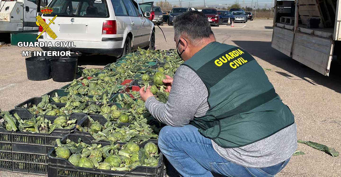 La Guardia Civil desarticula en Murcia un grupo delictivo dedicado a la sustracción de productos del campo 