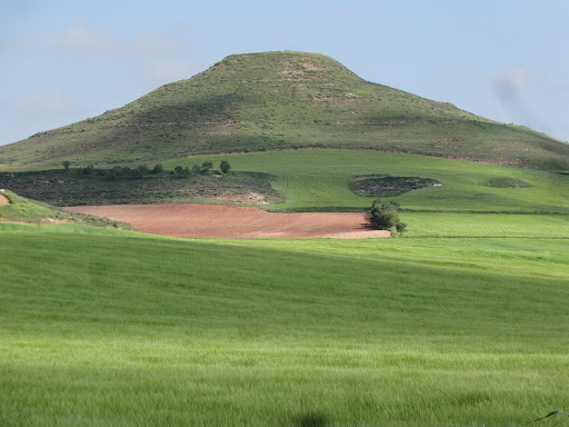 Olmedilla del campo