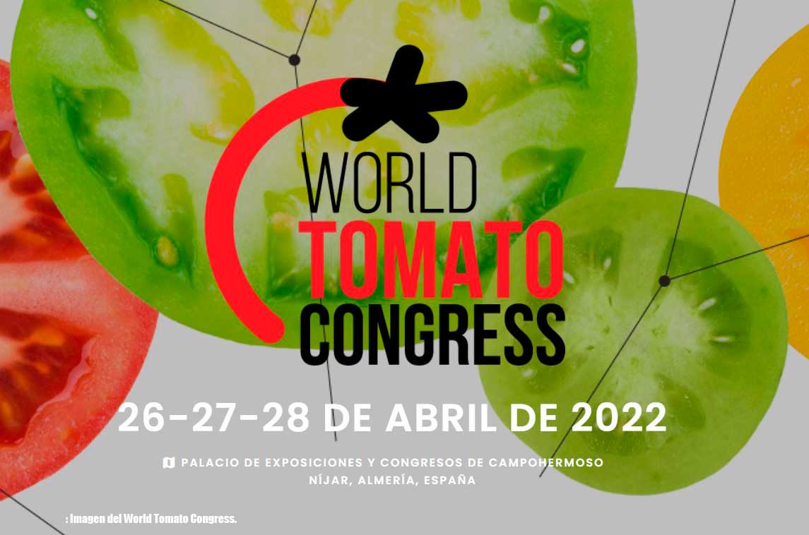 El World Tomato Congress desentrañará las investigaciones más vanguardistas relativas al cultivo del tomate