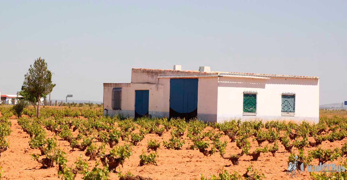 Se abandonan los campos por el mal negocio de la agricultura  y la ganadería en el marco rural de nuestros pueblos. 